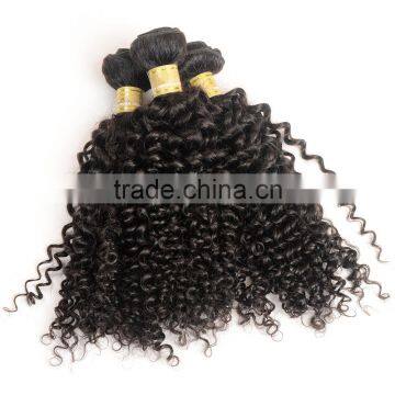 Fast Delivery Online Shop 100% Unprocessed Wholesale Tangle Free No Shedding Curly Raw Virgin Indian Hair photo-3