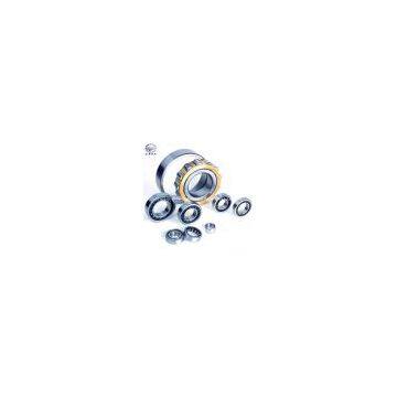 NSK Cylindrical Roller Bearing NU413 NU1014 NU214