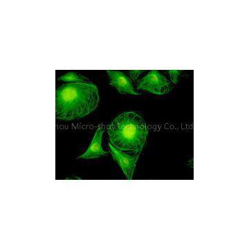 5.0MP CCD Camera MC50 / MC50-C