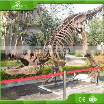 Roaring Vivid Dinosaur Skull Fossil for Museum Exhibition