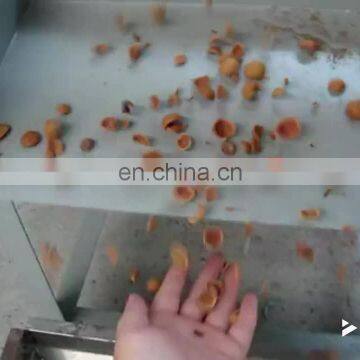 Taizy nut walnut hazelnut almond shell kernel separating machine