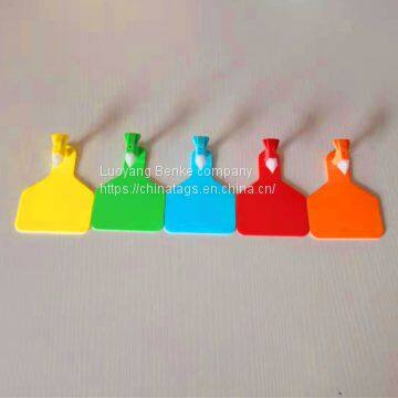 Cheap Price One Piece Type TPU Visual Cattle Ear Tag photo-3