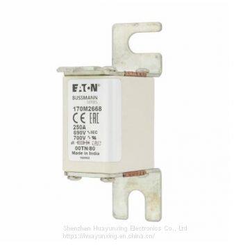 170M2668 Eaton Bussmann Series High Speed Square Body Fuse, 700V UL photo-5