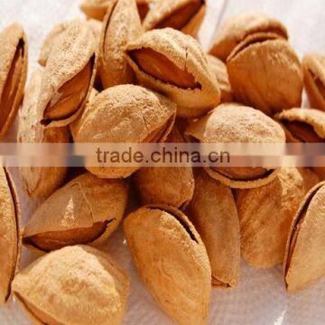 Bitter Almonds/ Almond nut/ Almonds kernel Abailable