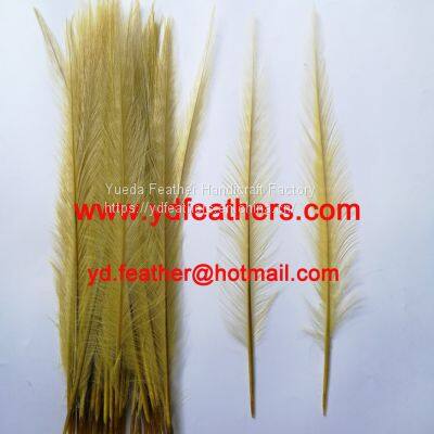 Burnt Ringneck Pheasant Tail Feather Dyed Yellow from China