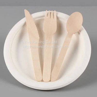 Biodegradable Sugarcane Bagasse Pulp Tableware
