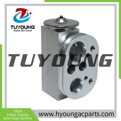 China Factory Manufacture Air Conditioner Expansion Valve for 2014-2016 BMW 228i 2.0L, HY-PZF295 photo-2