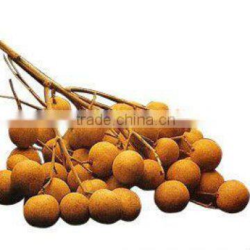 Fresh Longan
