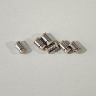 Check Valve (HPLC Pump)