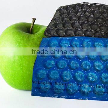 Gold Supplier Wholesale PP/PS/PET Fruit Packaging Tomato Tray Box photo-5