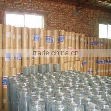 1/4" x 1/4"Glavanized welded netting (factory)