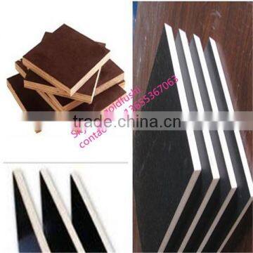 Black/Brown film Form Work Plywood / shuttering film plywood in factory