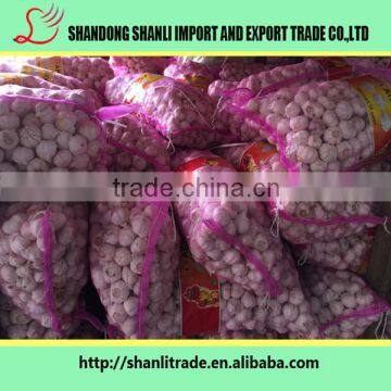 Fresh pure white garlic powder/fresh garlic/chinese garlic price/wholesale garlic