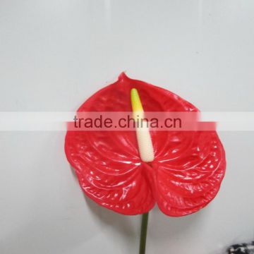 Various classical fresh cut flower