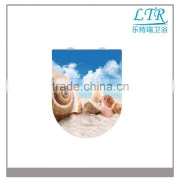 Soft Close Toiletseat Hinges Parts for U012-EP001 Colors Printed UF/PP Toilet Seat Covers