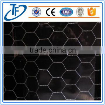 galvanized hexagonal wire mesh for plant protection guard