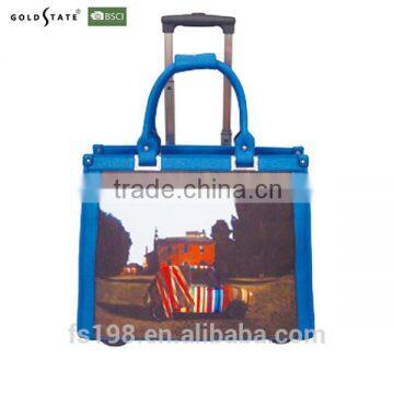 Cute schooling trolley bag for children