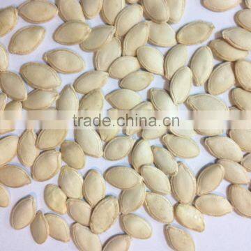 China New Crop Wholesale Shine Skin Pumpkin Seeds photo-2