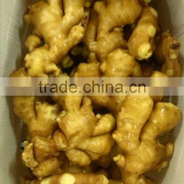 2013 fresh Chinese ginger for exporting with good quality