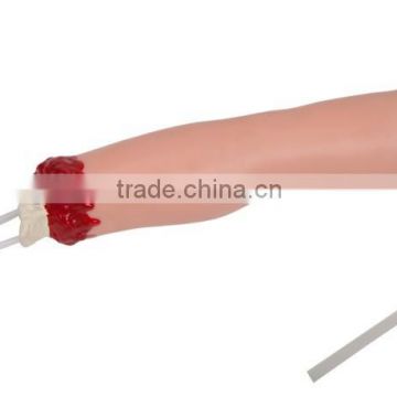 MCT-KN-016 Upper Limb Trauma Amputation and Hemostasis Model