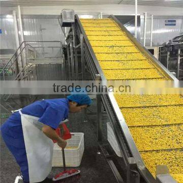 Wholesale IQF Foods Frozen Sweet Corn Kernel Jinfei Variety