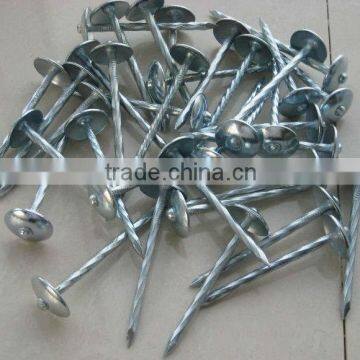 electro galvanized umbrella head roofing nails