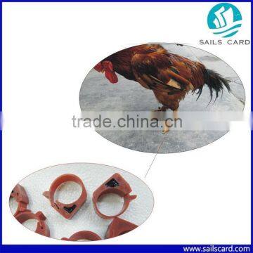 passive rfid animal foot ring rfid chicken tag with 125KHz Hitag S256 Chip