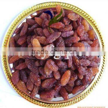 Xinjiang Natural Sultana/Zante Currant Red Raisin