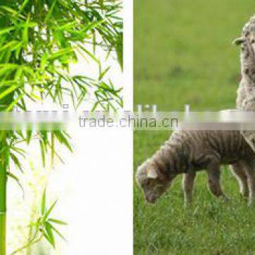 Pure Cashmere Thread PVA Blend Yarn photo-2