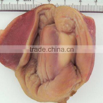 Application Images of USB3.0 Industrial Inspection&Microscopic Observation Camera