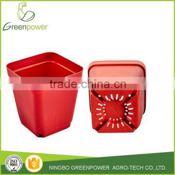 PP plastic square small nursery pot