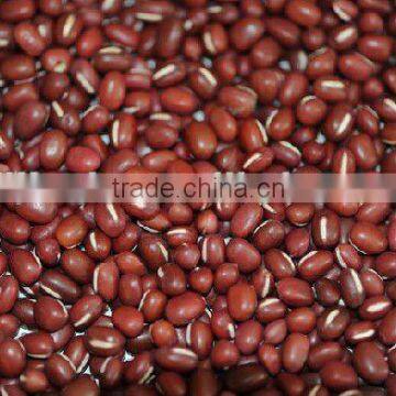 new crop azuki bean