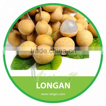 HIGH QUALITY FRESH LONGAN // Competitive price from Vietnam