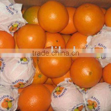 Navel Orange Supplier in 15KG Carton