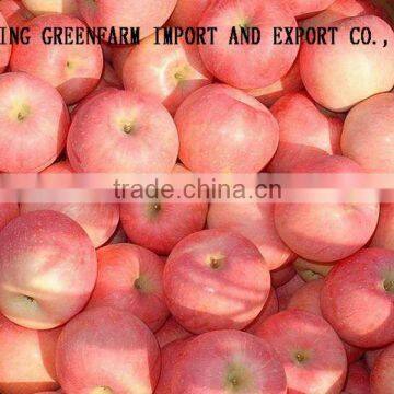 Chinesegreenfarm Fresh Red Gala Gpple