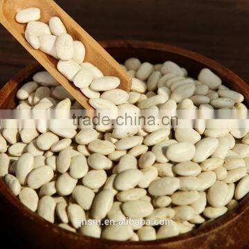 all kinds of beans, kidney beans, white kidney beans