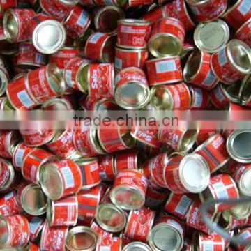 100% pure canned or tinned tomato paste at distribution price