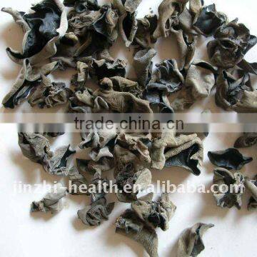 Black fungus