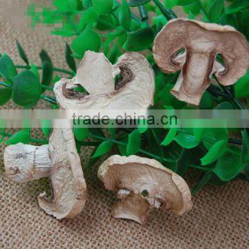 Alibaba buy now market prices for mushroom products made in asia