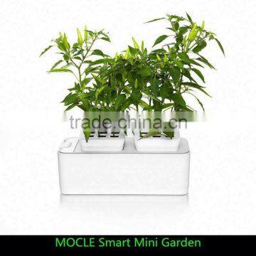 Smart Mini Garden big agents wanted in Southern Africa