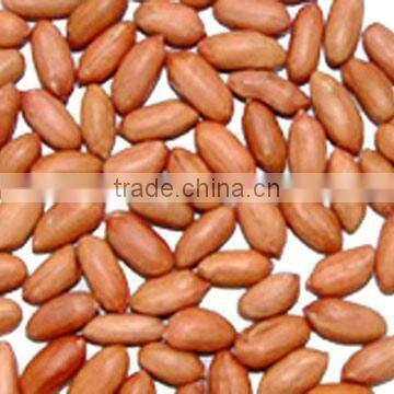 Chinese New Crop Roasted Peanut With Red Skin