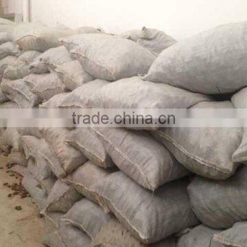 RAPHIA HOOKERI photo-2