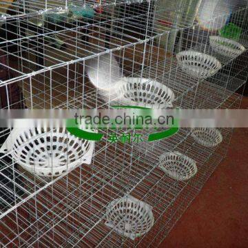 Qatar Poultry Farm Galvanized Wire Mesh Pigeon Cage photo-4