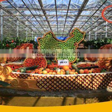 Agricultural greenhouse Ornamental Greenhouse