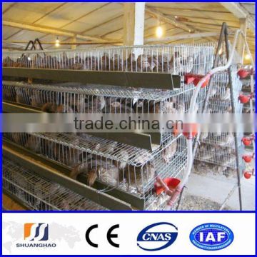 2014 new!!! cheap quail cage/quail breeding cages (manufactory)