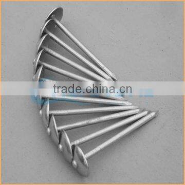 Top Quality Galvanized Corrugated Roofing Nails Trusted Chuanghe Suppliers From Com photo-2
