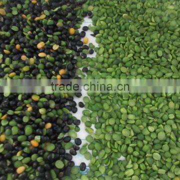 Excellent Quality CCD Grains Color Sorter Beans Color Sorter photo-2