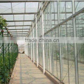Glass Multi-Span Agricultural Greenhouse for Tomato photo-2