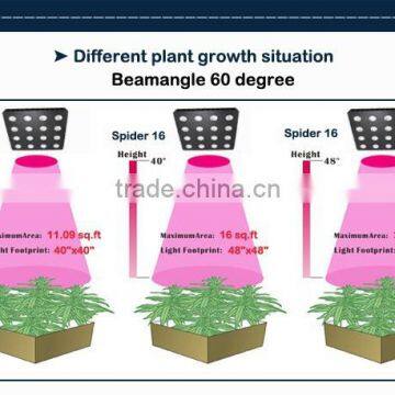 1440w 1200w 1000w Full Spectrum Plant Growth Led Grow Lights Sale photo-5