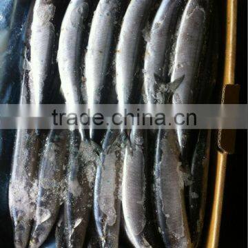 frozen pacific saury #4